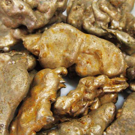 ca88ֻͻ(׿/ƻ)CA88Ա¼