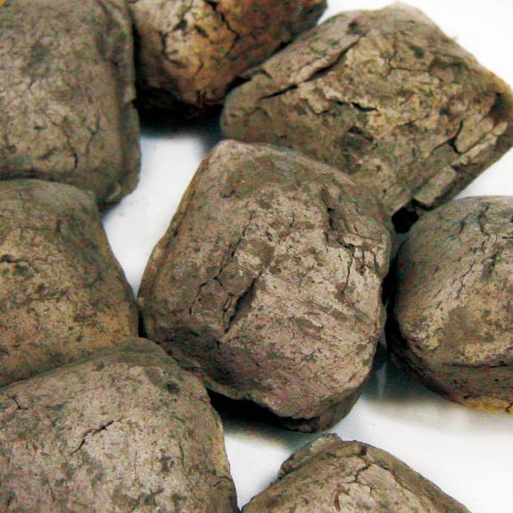 ca88ֻͻ(׿/ƻ)CA88Ա¼