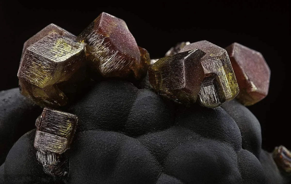 ca88ֻͻ(׿/ƻ)CA88Ա¼